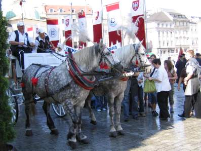 I Og�lnopolski Zjazd Rodziny Szk� �w. Jadwigi Kr�lowej.
