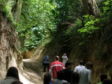 Czerwcowa wycieczka gimnazjalist�w.