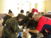 Zaj�cia w Nowym S�czu.