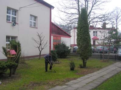 Posadzenie �wierka Benedykta XVI.