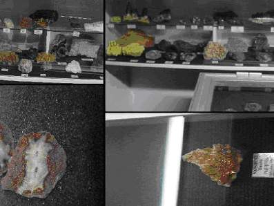 Eksponaty z wyastawy "Skarby Ziemi".