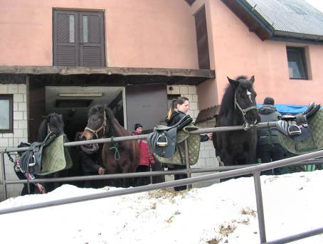 Zaj�cia hipiczne uczni�w klasy drugiej Stra�y Granicznej - 23.02.2013 r.