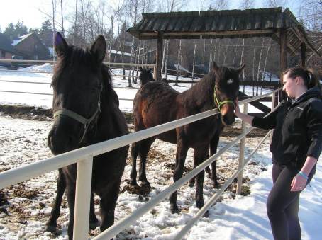Zaj�cia hipiczne uczni�w klasy drugiej Stra�y Granicznej - 23.02.2013 r.