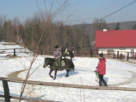 Zaj�cia hipiczne uczni�w klasy drugiej Stra�y Granicznej - 23.02.2013 r.