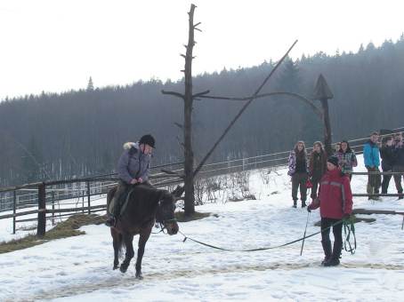 Zaj�cia hipiczne uczni�w klasy drugiej Stra�y Granicznej - 23.02.2013 r.