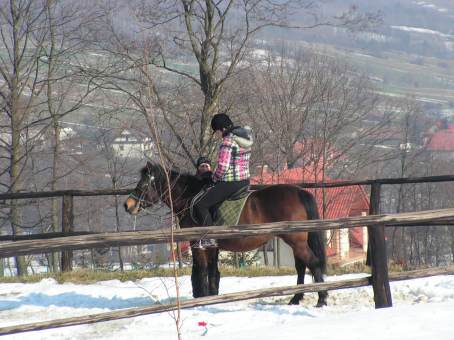 Zaj�cia hipiczne uczni�w klasy drugiej Stra�y Granicznej - 23.02.2013 r.