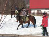 Zaj�cia z hippiki.