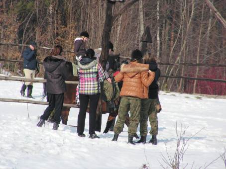 Zaj�cia hipiczne uczni�w klasy drugiej Stra�y Granicznej - 23.02.2013 r.