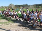 Sport szkolny 2010-2011.